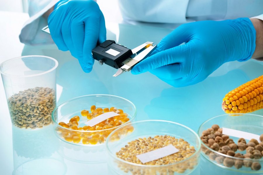 Analysis of food quality and safety legislation and state control system in the United Kingdom