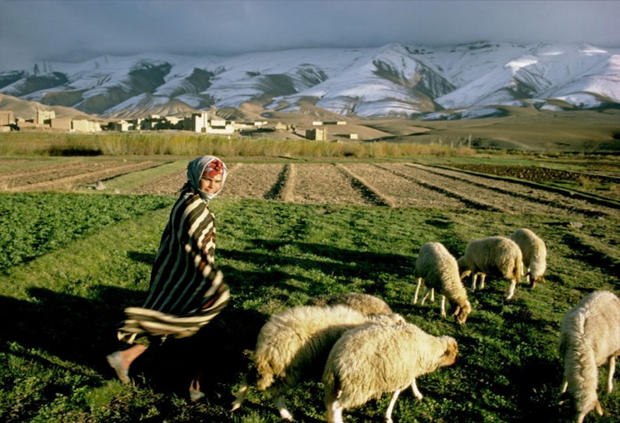 Trends in production and consumption in agriculture in Morocco