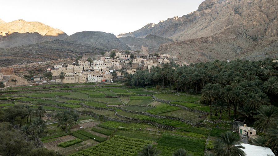 Trends in the markets of agricultural products of Oman